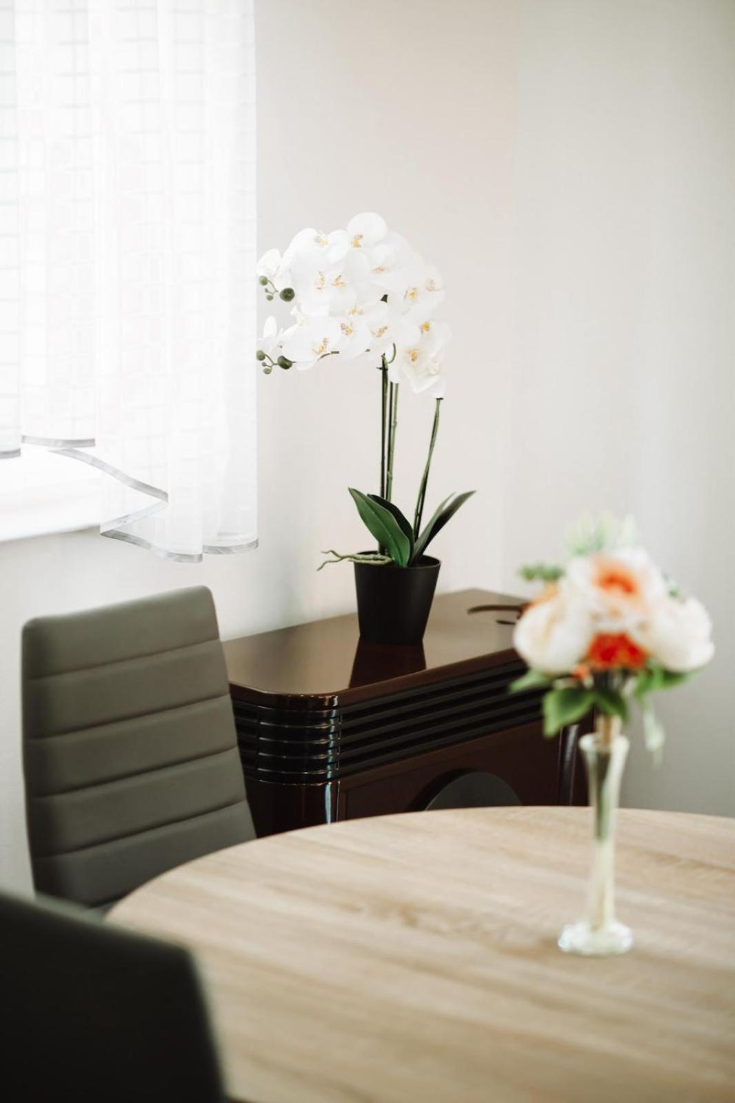 Apartman Sunny Hills Krapina Dış mekan fotoğraf