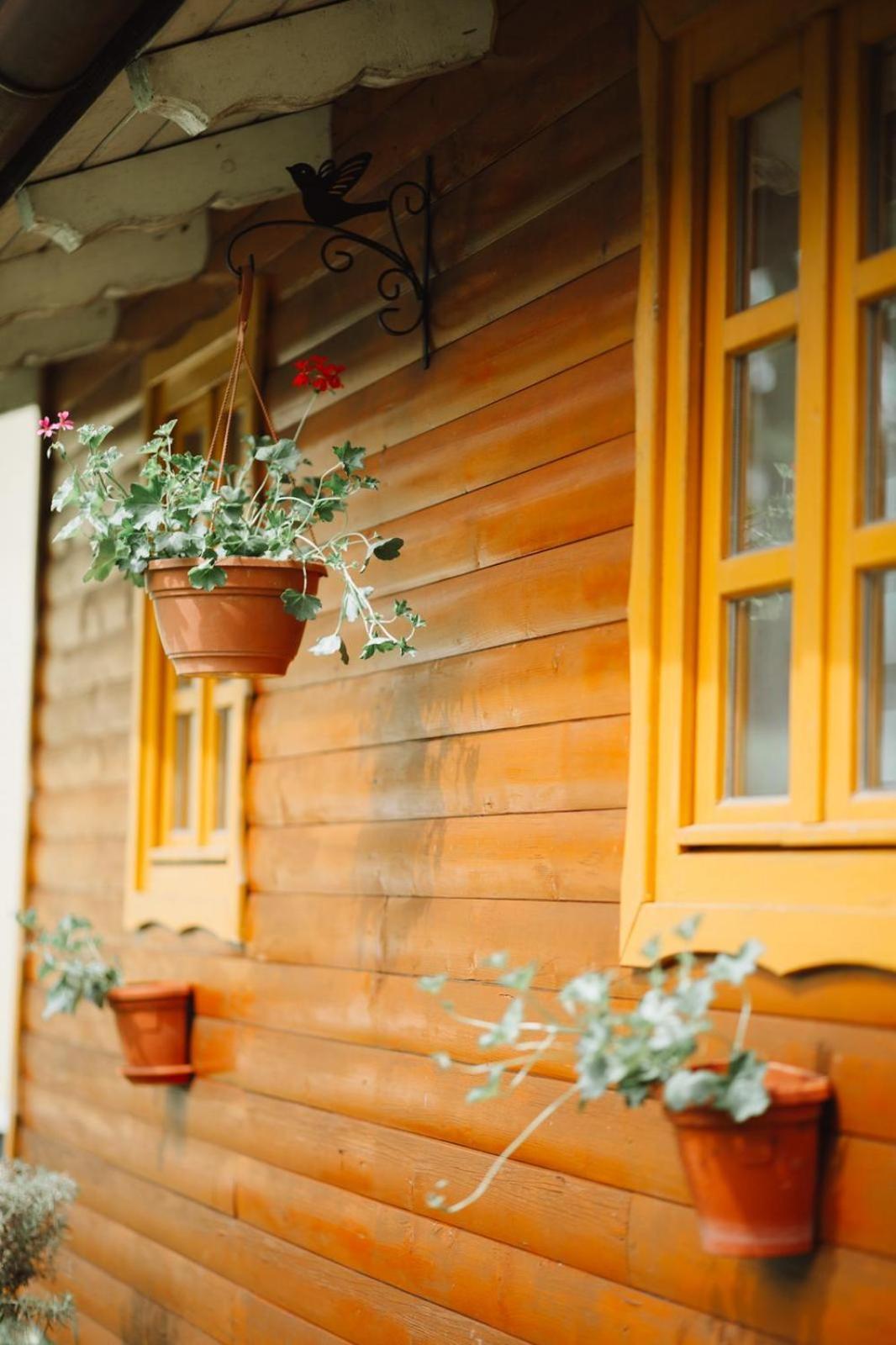 Apartman Sunny Hills Krapina Dış mekan fotoğraf